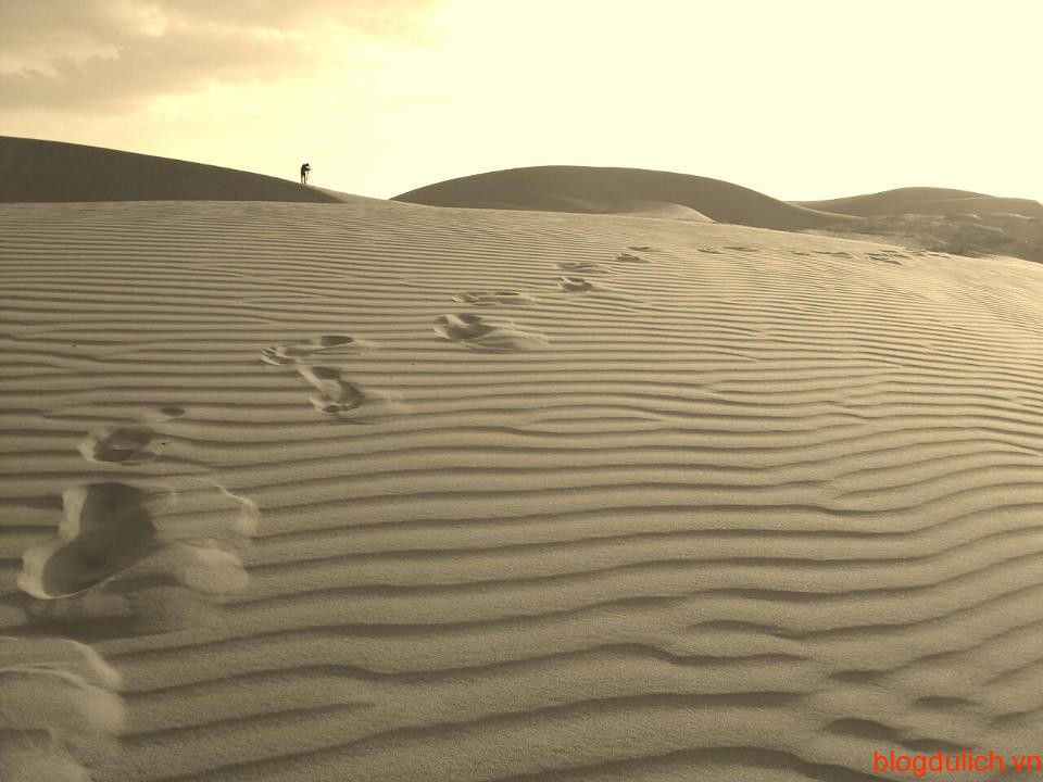 Những đồi cát vàng đặc trưng của Mũi Né