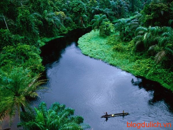 lòng chảo sông Congo